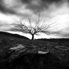 Picture for song 'Serenity' by artist 'Sac Hill'