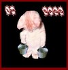 Picture for song 'first name last name' by artist 'Saddre Fonzworth'