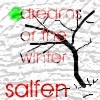 Picture for song 'dreams of the winter' by artist 'SALFEN'