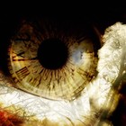 Picture for song 'Chapters - Shadows' by artist 'Sam Moon'