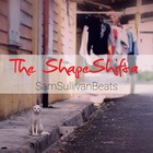 Picture for song 'The Shapeshifta (Piano Banger)' by artist 'SamSullivanBeats'