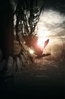Picture for song 'Old Delight' by artist 'Sans Edge'