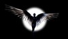 Picture for song 'Angel Baby' by artist 'Scarcity Records'