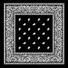 Picture for song 's dot q ON MY WAY UP' by artist 's dot q'