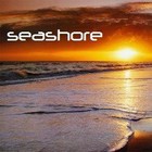 Picture for song 'Good Fun 2009 (90's remember by Seashore)' by artist 'Seashore'