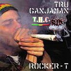 Picture for song 'thc - satta massagana' by artist 'selekta konekta'