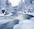 Picture for song 'The River' by artist 'Self laid traps'