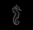 Picture for song 'The Rapist' by artist 'Sex Seahorse'