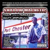 Picture for song 'KILLIN' THEM' by artist 'SHADOW MAGNETIC (US)'