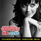 Picture for song 'Hot & Cold (Cyanide's Bi-Polar Remix)' by artist 'SHADY JAY'