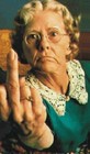 Picture for song 'Gibson Forum Idiot' by artist 'Shaun The Sheep'
