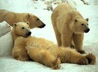 Picture for song 'Lazy Bum' by artist 'Shawn Sample'