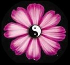 Picture for song 'Forgotten flower' by artist 'Shiva Effect'