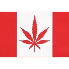 Picture for song 'Red and White.mp3' by artist 'ShorteeG'