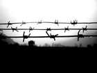 Picture for song 'Locked Down' by artist 'Shyztee'