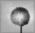 Picture for song 'On The Street' by artist 'Silent Beats'