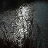Picture for song 'At The Pond Of Ancient Sorrow' by artist 'Silently Forgotten'