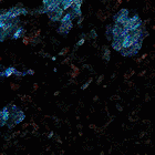 Picture for song 'Damaged' by artist 'Slave of Destruction'