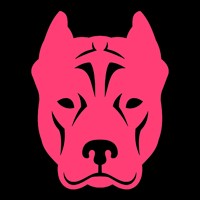 Picture for song 'COUPE' by artist 'SLYRAX'