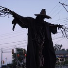 Picture for song 'example254.85 !!! SOLD !!! ( - Pek - V Cieli - )' by artist 'SockaProductions'