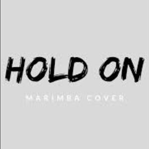 Picture for song 'Sonnerie Gratuite Hold On Justin Bieber (Marimba' by artist 'SonneriePortable'