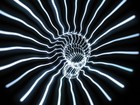 Picture for song 'Terra Nova' by artist 'Sounds Of Absolute Power'