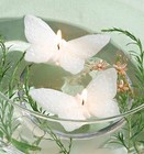 Picture for song 'Angel of Love' by artist 'sourcil'