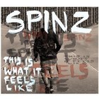 Picture for song 'Spinz_Up and Down_2009' by artist 'Spinz (Official)'