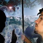 Picture for song 'SPIRITEKK PRODUCTIONS - Freedom' by artist 'SPIRITEKK'