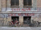 Picture for song 'stay live' by artist 'stay alive'