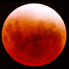 Picture for song 'Blood on the Sun' by artist 'Stayhigh'