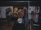 Picture for song 'sad tree' by artist 'Stephen Bixby'