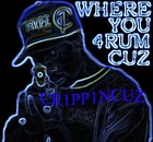 Picture for song 'Mistic Madness' by artist 'STL PRODUCTIONS'