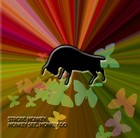 Picture for song 'Obtuse' by artist 'Strobe Monkey'