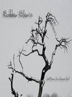 Picture for song 'Letters You Never Got' by artist 'Sudden Silence'