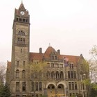 Picture for song 'The Jungle' by artist 'SUper Villain Music Group'