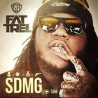 Picture for song '!!FAT TREL TYPE!! Maybach Love' by artist 'SWAGGAHOLIKS BEATS'
