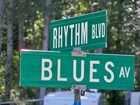 Picture for song 'Blues Avenue' by artist 'Swampman And The Machine'