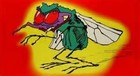 Picture for song 'On The Fly' by artist 'Swampman And The Machine'