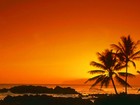 Picture for song 'Arabian sunset' by artist 'Swara Sutra'
