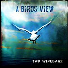 Picture for song 'A Birds View' by artist 'Tad Winklarz'