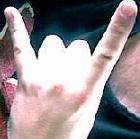 Picture for song 'Bull by the Horns' by artist 'Tank Davidson'