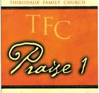 Picture for song 'The Things That You Are' by artist 'TFC Praise Team'