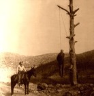 Picture for song 'DEADWOOD (Prod. Co-oP Cuts)' by artist 'Tha M.C. Nultys'