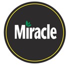 Picture for song 'MIRACLE' by artist 'THE ADAMS APPLE'