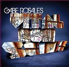 Picture for song '4 Da Record' by artist 'The AIM Raptivist Collective'