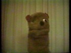 Picture for song 'Pig Face' by artist 'The Anal Vapours'
