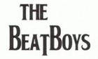 Picture for song 'I Need You' by artist 'The Beat Boys'
