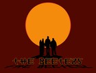 Picture for song 'Timmy' by artist 'The Beeters'