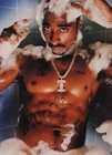 Picture for song 'Lyrical Gang Bang' by artist 'The Diceman'